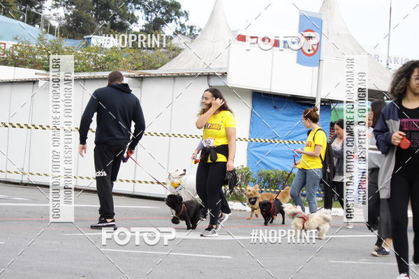 Buy your photos of the eventCorrida Pet Finde on Fotop