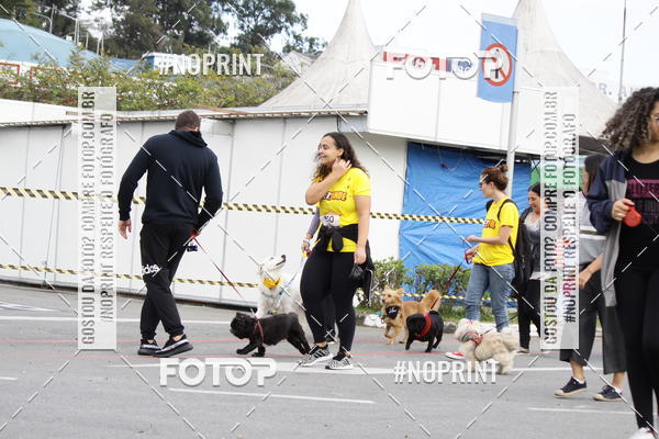Buy your photos of the eventCorrida Pet Finde on Fotop