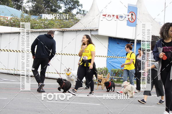 Buy your photos of the eventCorrida Pet Finde on Fotop
