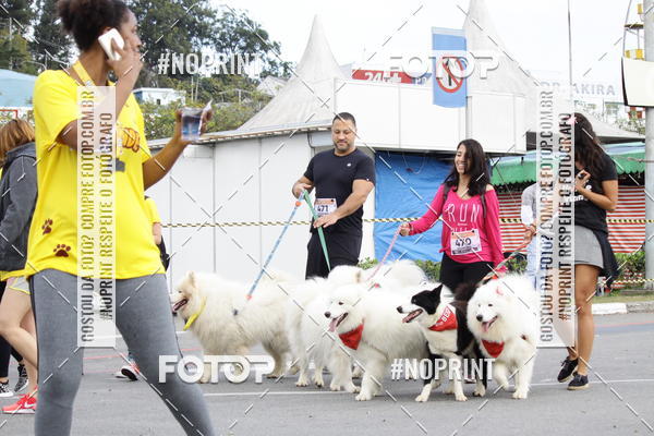 Buy your photos of the eventCorrida Pet Finde on Fotop