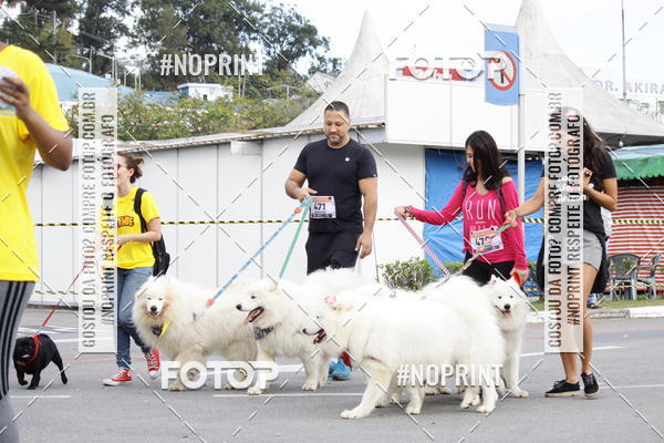 Buy your photos of the eventCorrida Pet Finde on Fotop