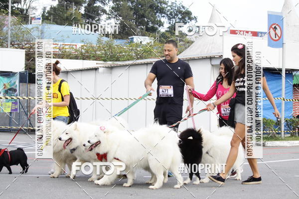 Buy your photos of the eventCorrida Pet Finde on Fotop