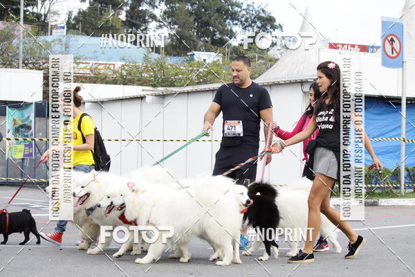 Buy your photos of the eventCorrida Pet Finde on Fotop