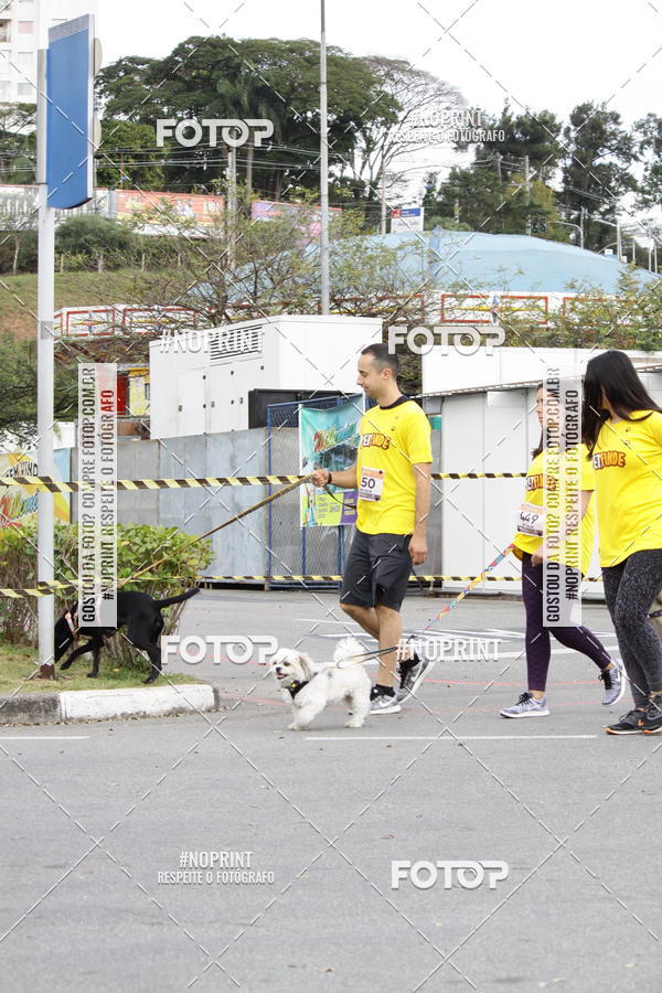 Buy your photos of the eventCorrida Pet Finde on Fotop