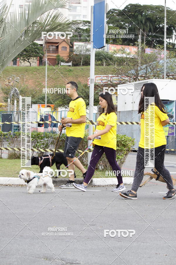 Buy your photos of the eventCorrida Pet Finde on Fotop