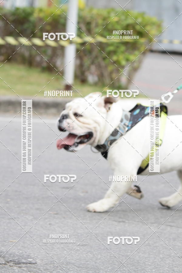 Buy your photos of the eventCorrida Pet Finde on Fotop