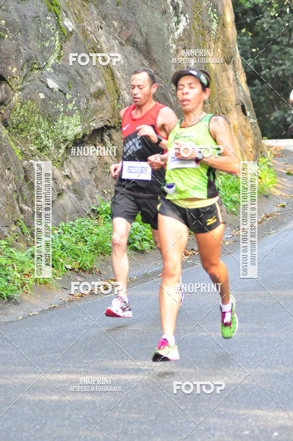 Buy your photos of the eventMeia Maratona Internacional de Peru�be on Fotop