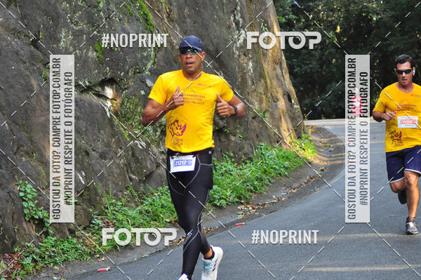 Buy your photos of the eventMeia Maratona Internacional de Peru�be on Fotop