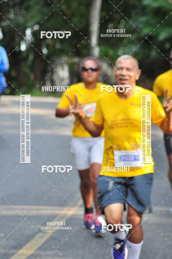 Buy your photos of the eventMeia Maratona Internacional de Peru�be on Fotop