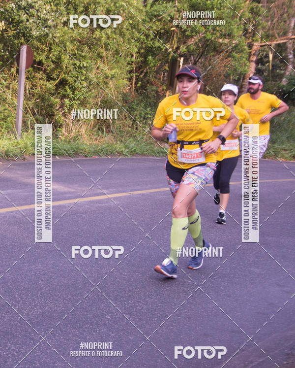 Buy your photos of the eventMeia Maratona Internacional de Peru�be on Fotop