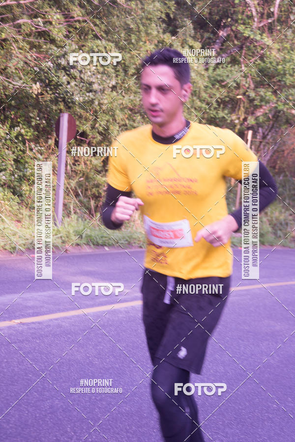 Buy your photos of the eventMeia Maratona Internacional de Peru�be on Fotop