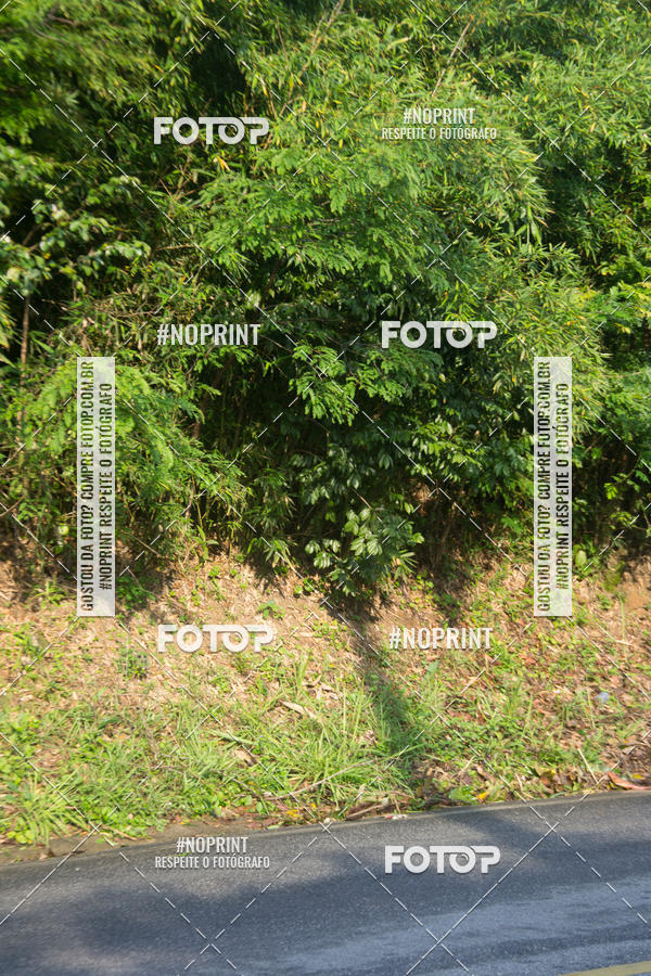 Buy your photos of the eventMeia Maratona Internacional de Peru�be on Fotop