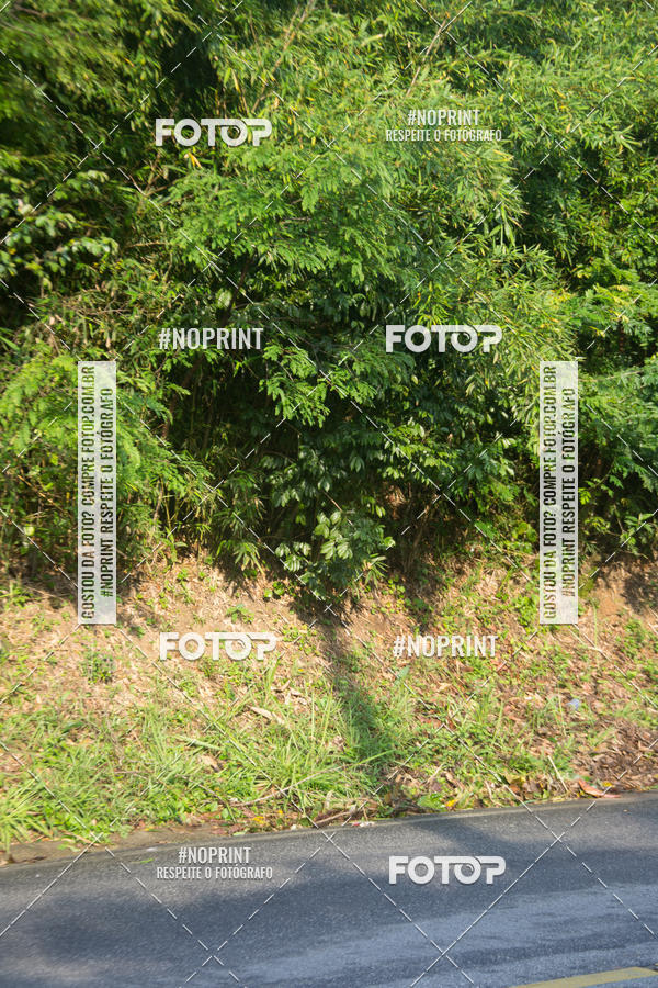 Buy your photos of the eventMeia Maratona Internacional de Peru�be on Fotop