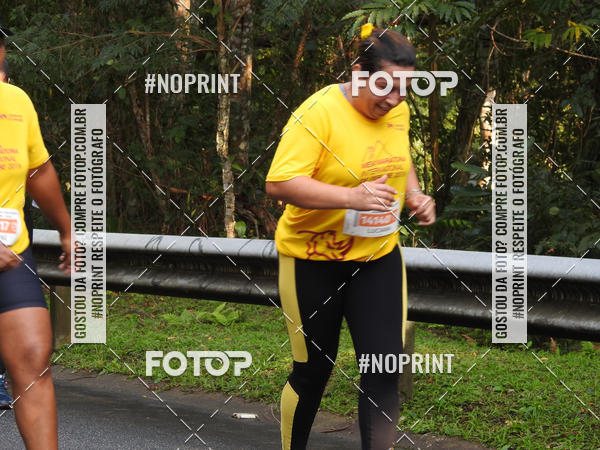 Buy your photos of the eventMeia Maratona Internacional de Peru�be on Fotop