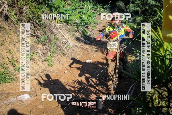 Buy your photos of the eventBANANALAMA  on Fotop