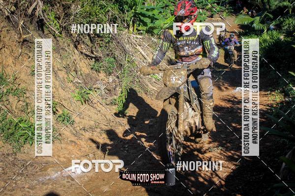 Buy your photos of the eventBANANALAMA  on Fotop