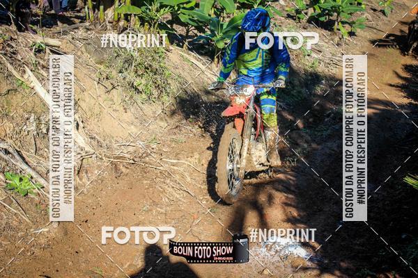 Compre suas fotos do eventoBANANALAMA  no Fotop