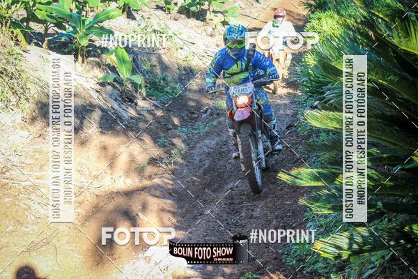 Compre suas fotos do eventoBANANALAMA  no Fotop