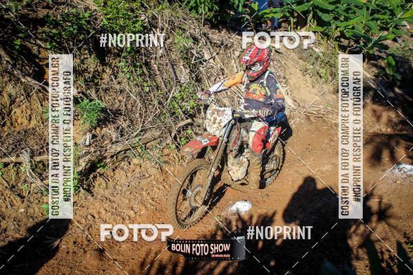 Compre suas fotos do eventoBANANALAMA  no Fotop