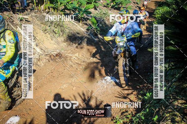 Compre suas fotos do eventoBANANALAMA  no Fotop