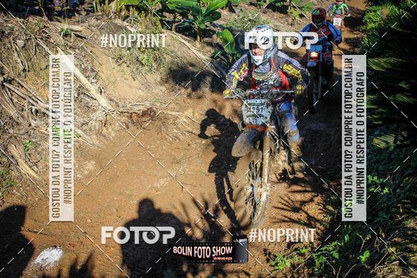 Compre suas fotos do eventoBANANALAMA  no Fotop