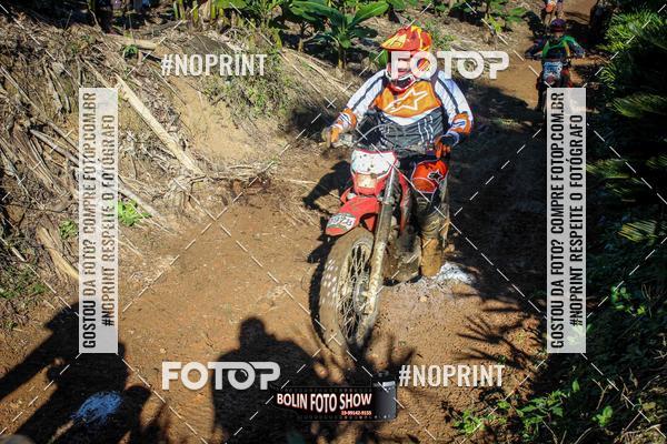 Compre suas fotos do eventoBANANALAMA  no Fotop