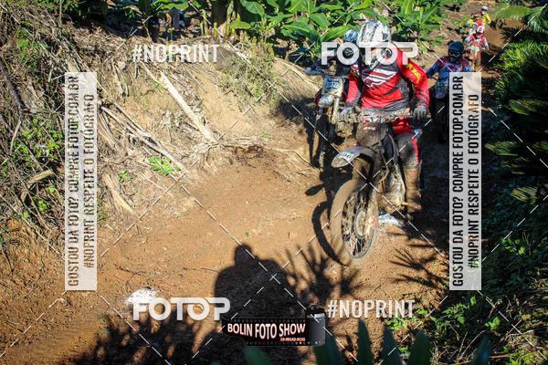 Compre suas fotos do eventoBANANALAMA  no Fotop