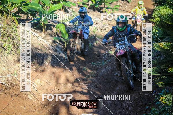 Buy your photos of the eventBANANALAMA  on Fotop