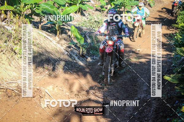 Buy your photos of the eventBANANALAMA  on Fotop