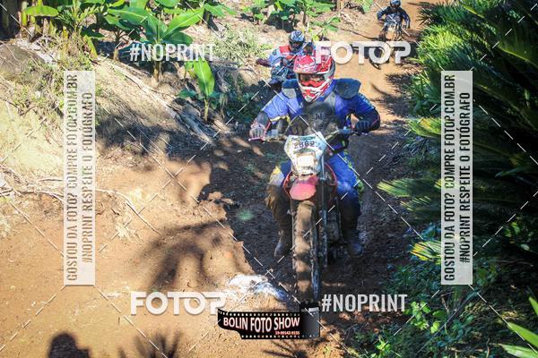 Buy your photos of the eventBANANALAMA  on Fotop