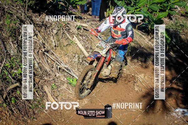 Buy your photos of the eventBANANALAMA  on Fotop