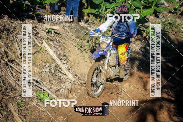 Buy your photos of the eventBANANALAMA  on Fotop