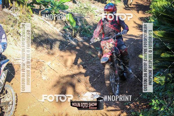 Buy your photos of the eventBANANALAMA  on Fotop