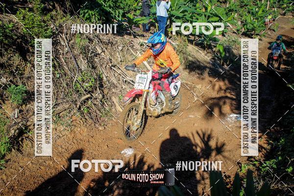 Buy your photos of the eventBANANALAMA  on Fotop