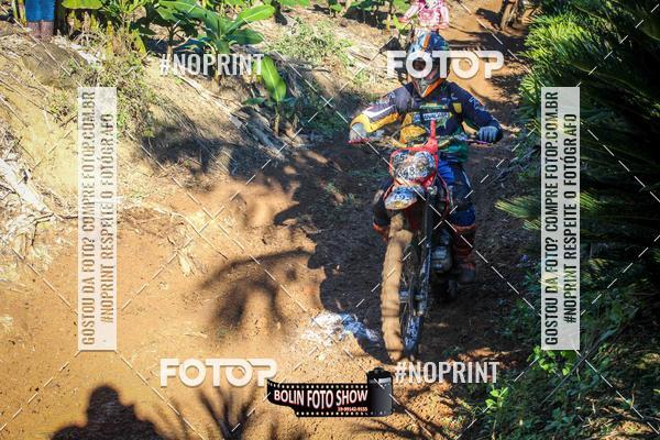 Buy your photos of the eventBANANALAMA  on Fotop