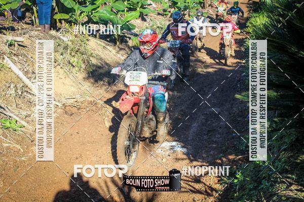 Buy your photos of the eventBANANALAMA  on Fotop