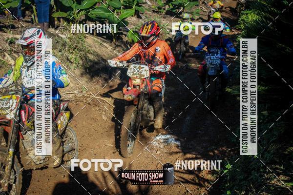 Buy your photos of the eventBANANALAMA  on Fotop