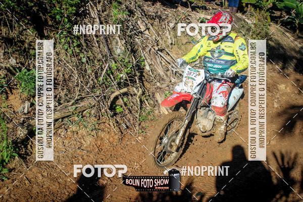 Buy your photos of the eventBANANALAMA  on Fotop