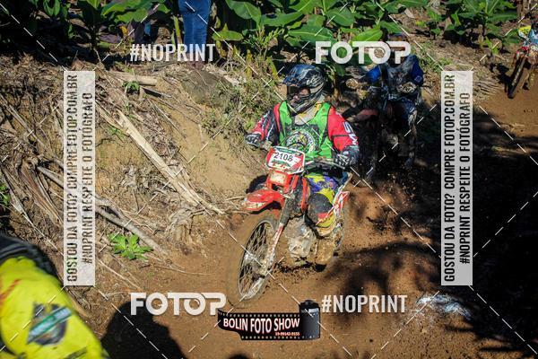 Buy your photos of the eventBANANALAMA  on Fotop