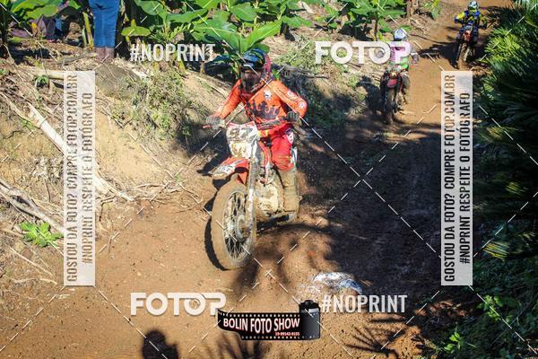 Buy your photos of the eventBANANALAMA  on Fotop