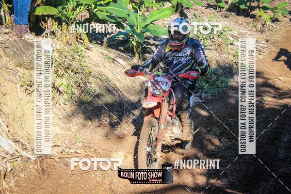 Buy your photos of the eventBANANALAMA  on Fotop