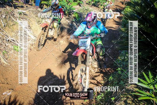 Buy your photos of the eventBANANALAMA  on Fotop