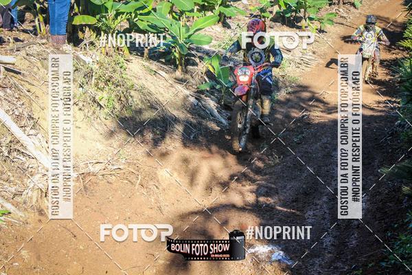 Buy your photos of the eventBANANALAMA  on Fotop