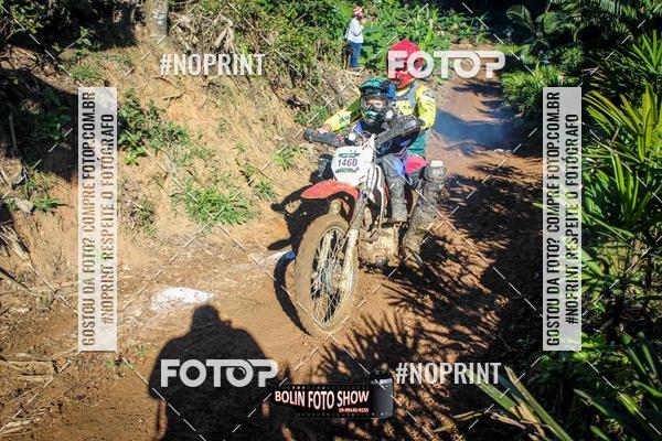 Buy your photos of the eventBANANALAMA  on Fotop