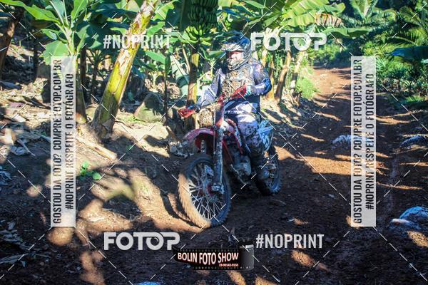 Buy your photos of the eventBANANALAMA  on Fotop