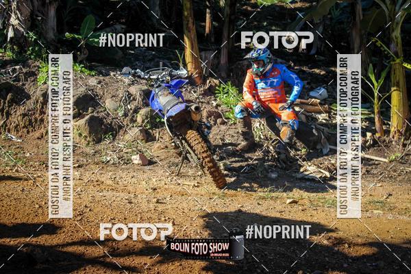 Buy your photos of the eventBANANALAMA  on Fotop