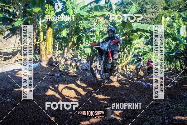 Buy your photos of the eventBANANALAMA  on Fotop