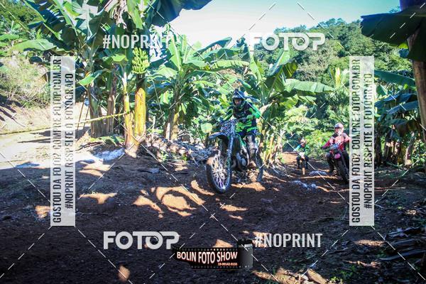 Buy your photos of the eventBANANALAMA  on Fotop