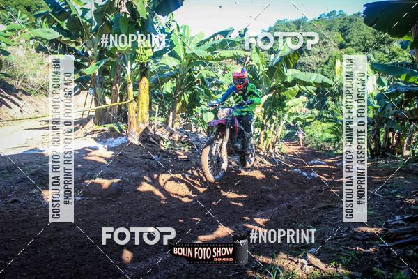 Buy your photos of the eventBANANALAMA  on Fotop