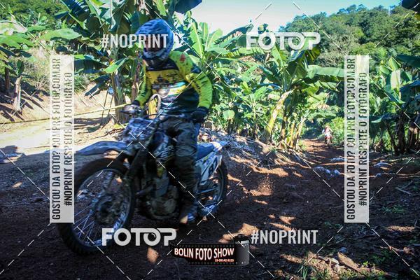 Buy your photos of the eventBANANALAMA  on Fotop